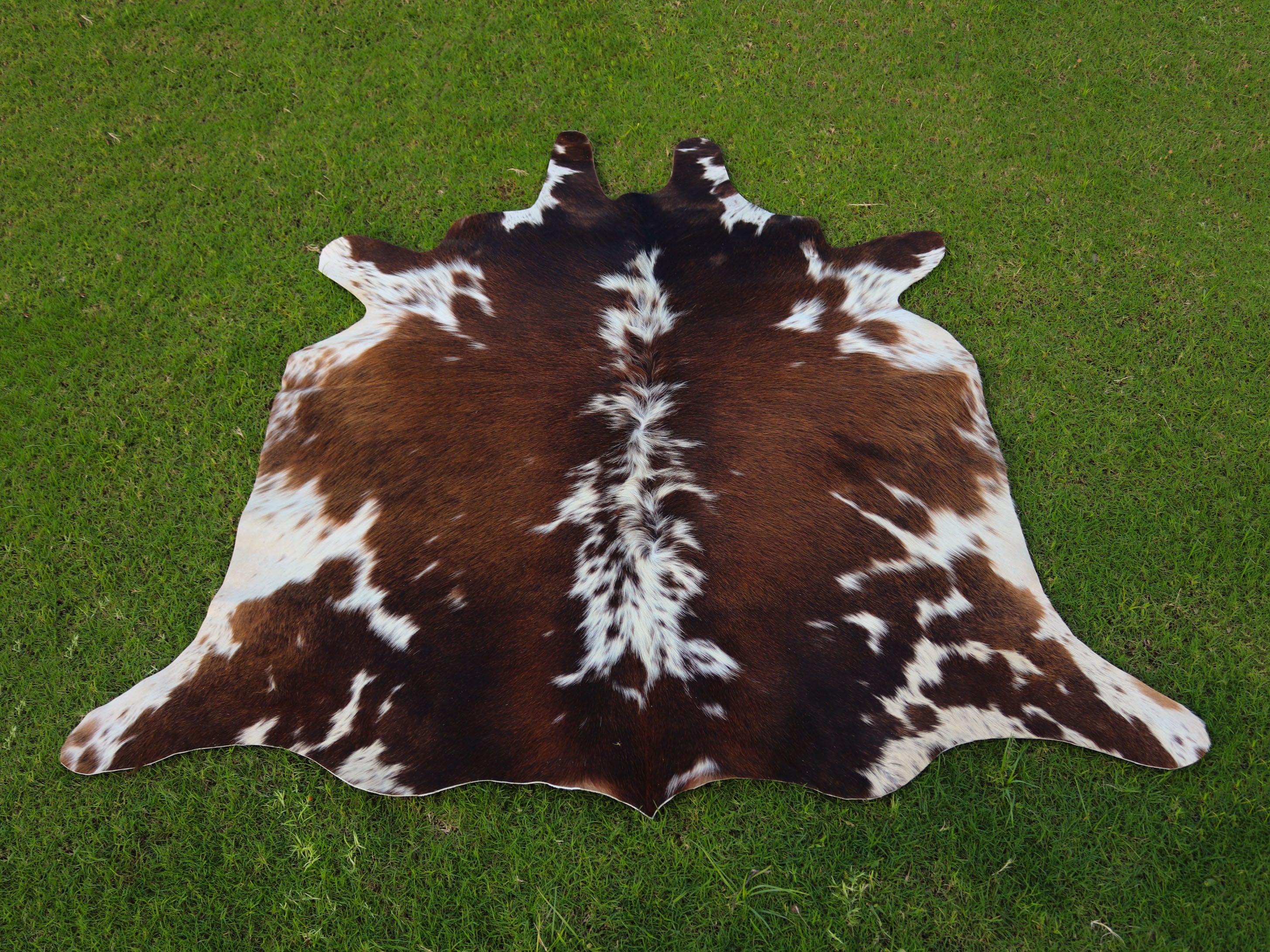 Tricolor Chocolate Brown and White Cowhide Area Rug