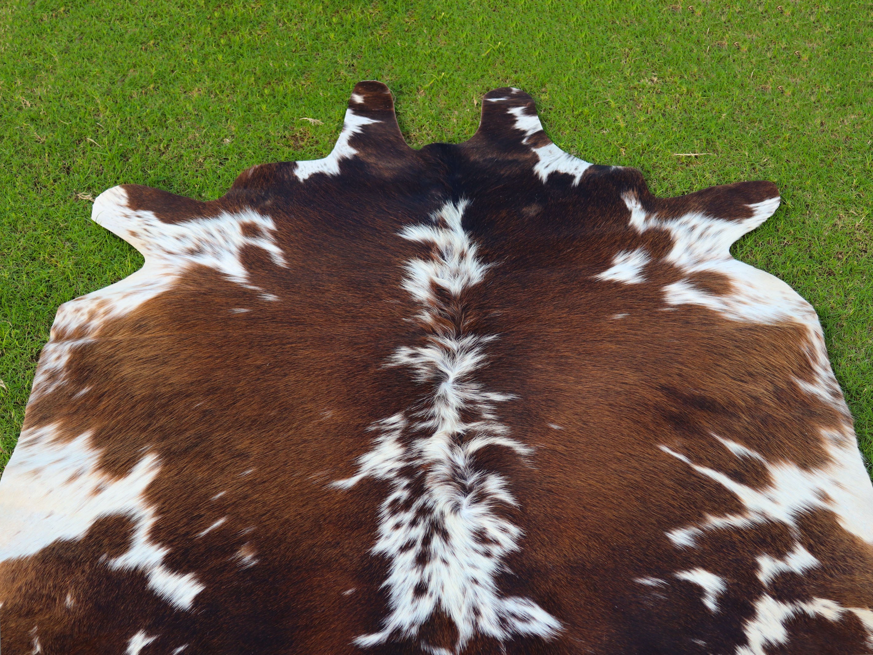 Tricolor Chocolate Brown and White Cowhide Area Rug