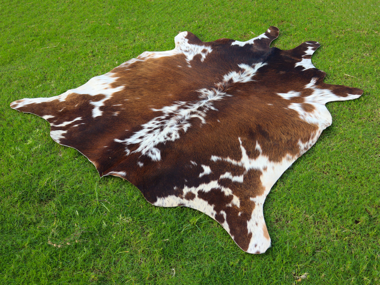 Tricolor Chocolate Brown and White Cowhide Area Rug