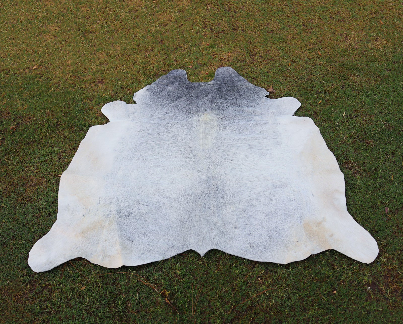 Premium Grey Cowhide Rug for Home Decor