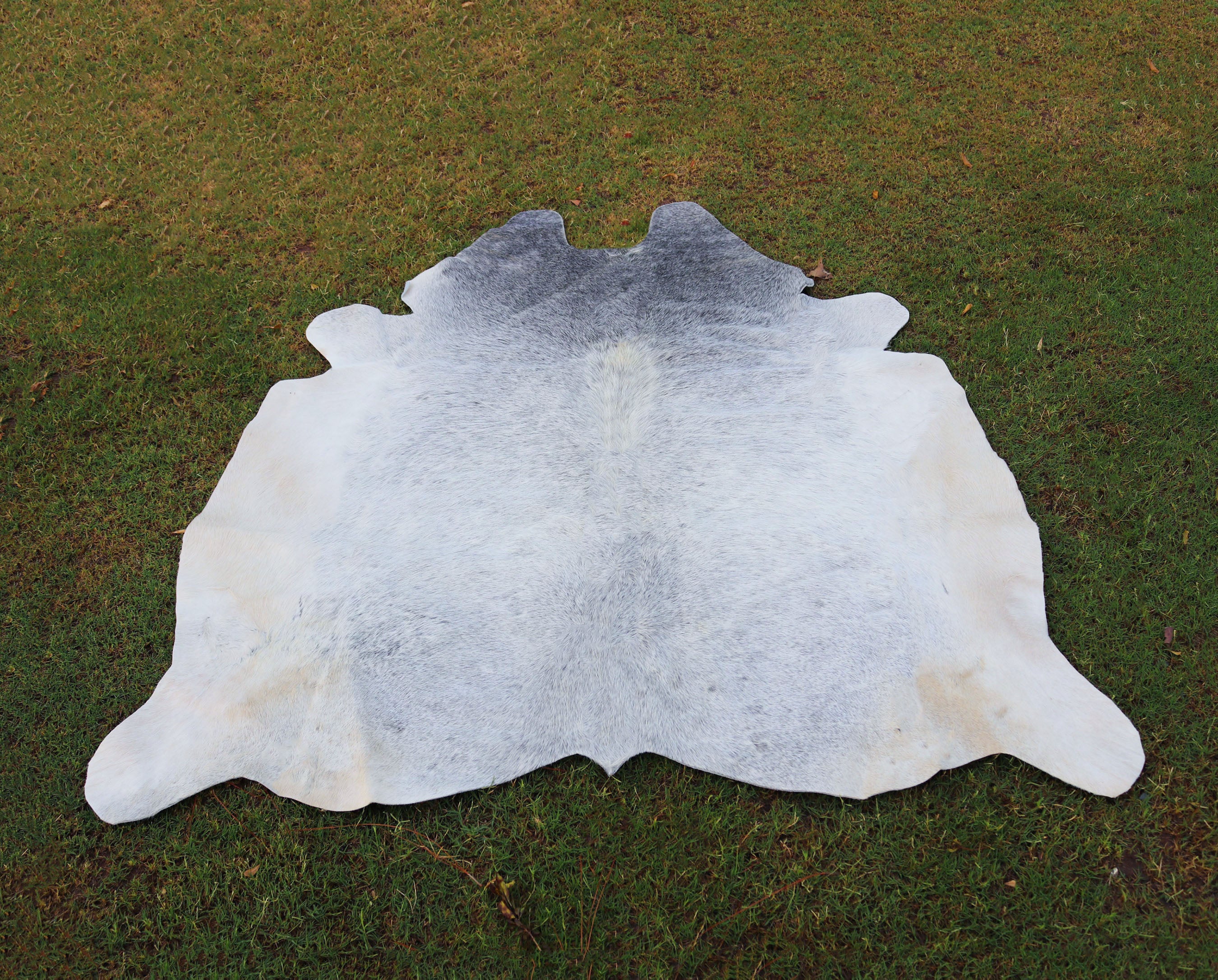 Premium Grey Cowhide Rug for Home Decor