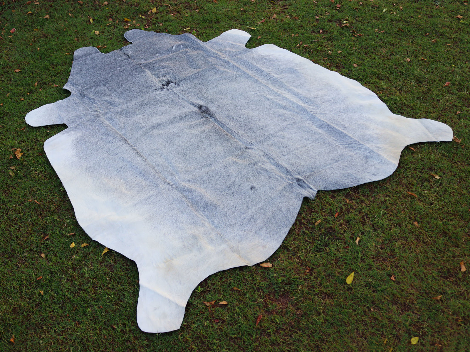 Luxury Grey Color Hair-On Cowhide Rug