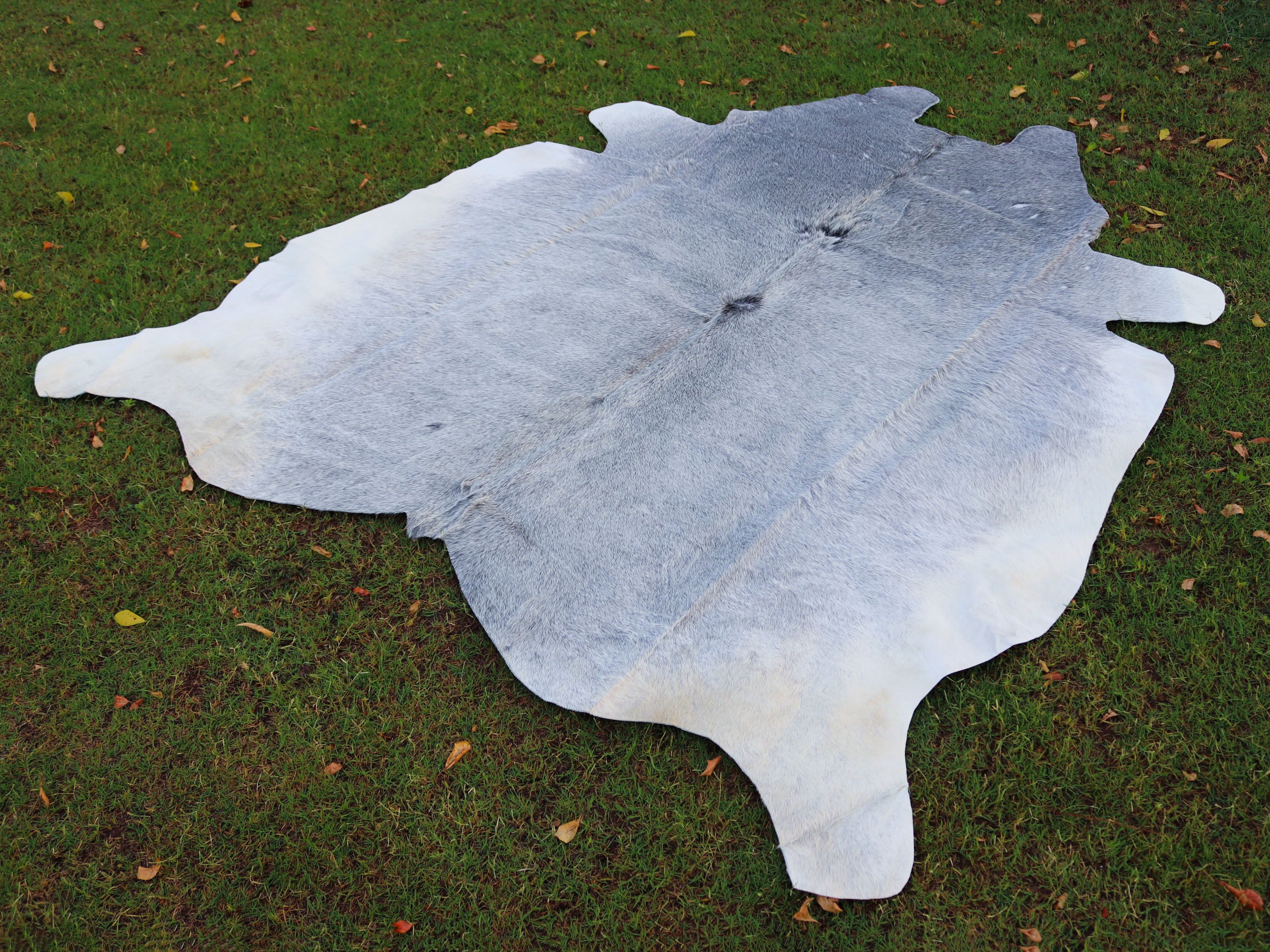 Luxury Grey Color Hair-On Cowhide Rug