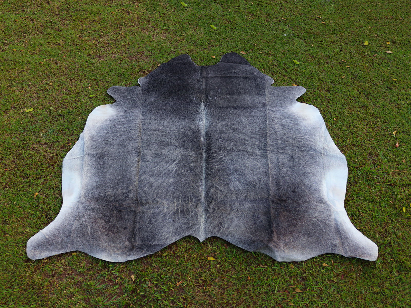 Premium Grey Cowhide Rug for Home Decor