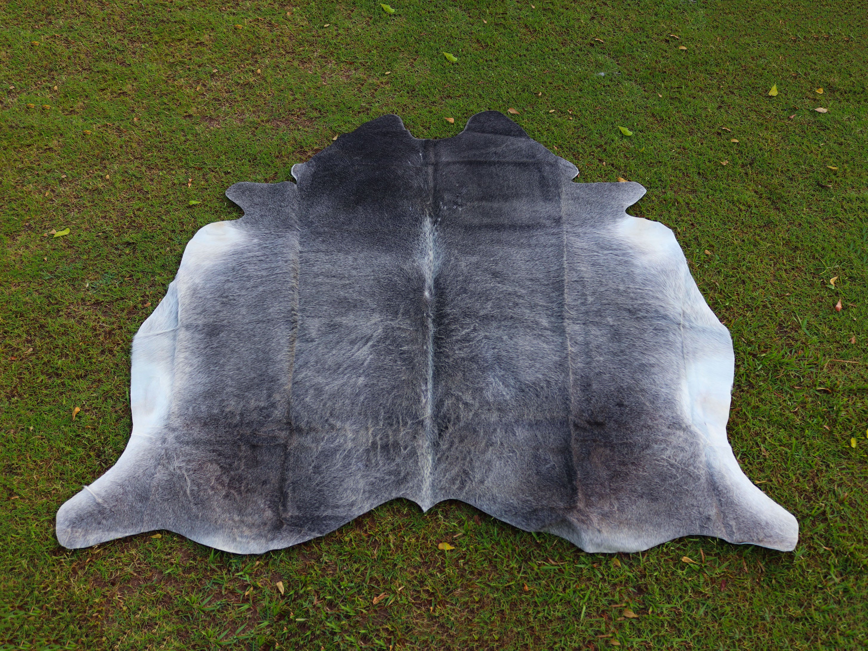 Premium Grey Cowhide Rug for Home Decor