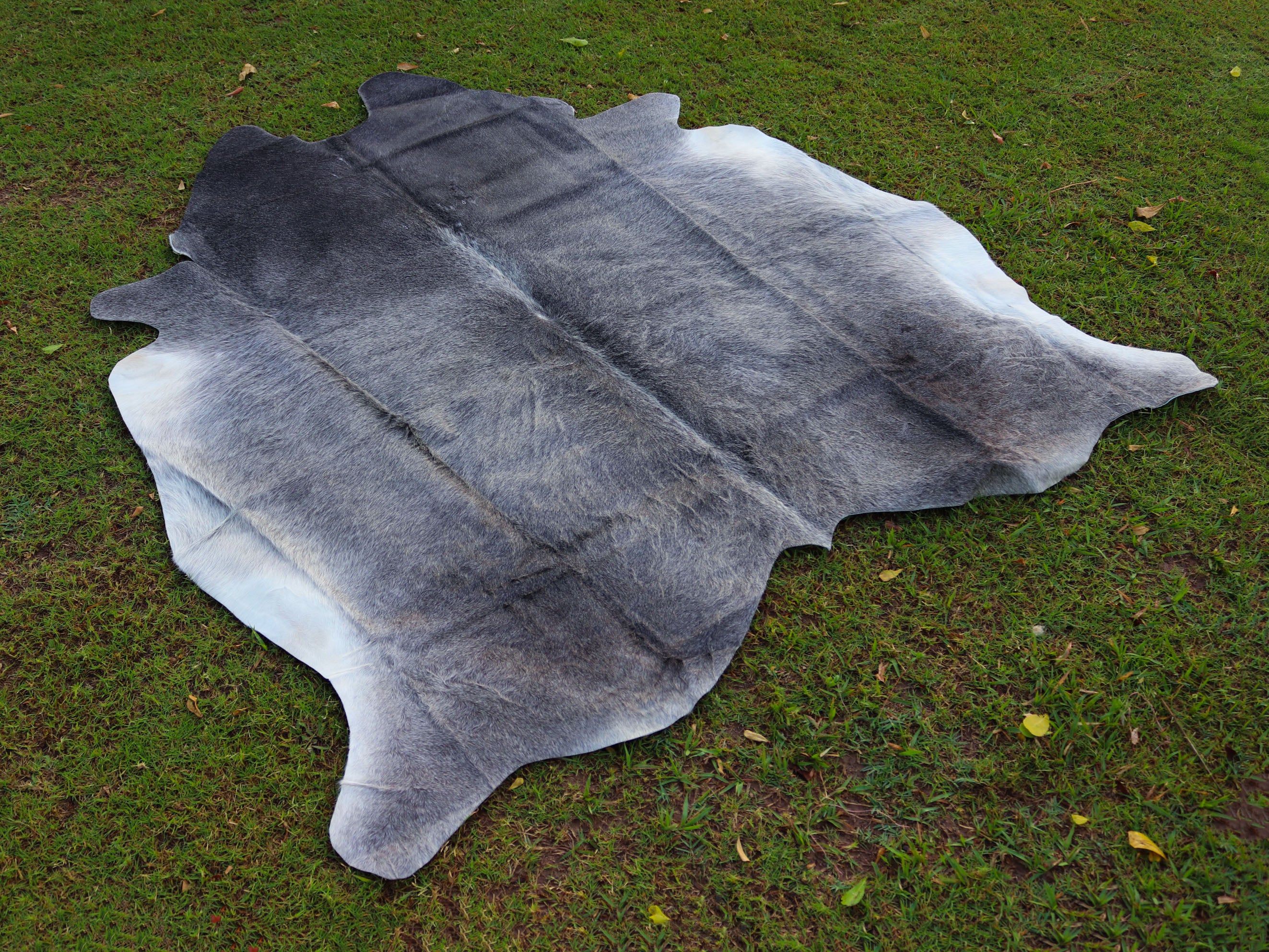Premium Grey Cowhide Rug for Home Decor