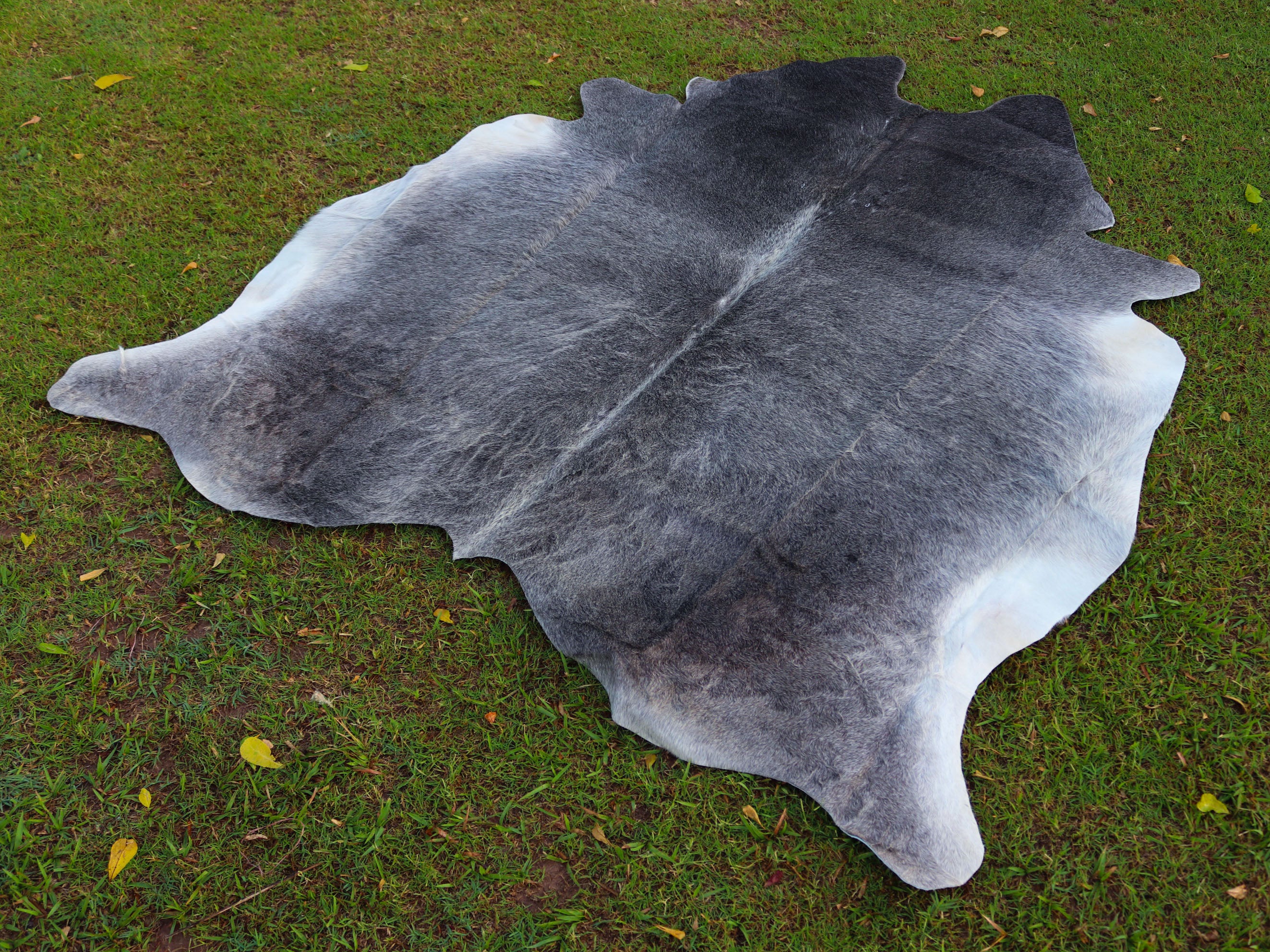 Premium Grey Cowhide Rug for Home Decor