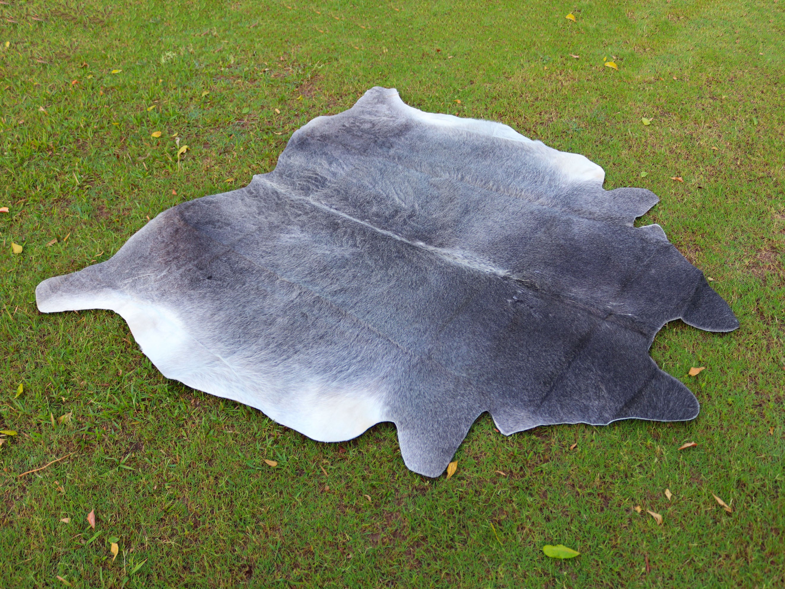 Premium Grey Cowhide Rug for Home Decor