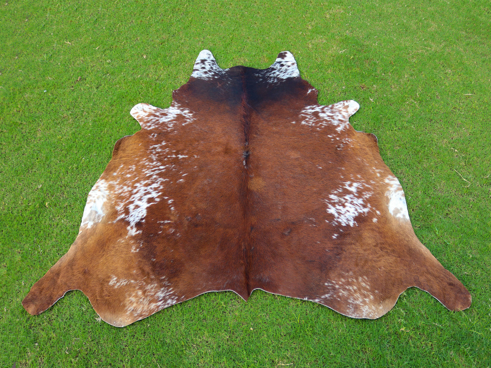 Luxury Tricolor Cowhide Rug with Tan Brown Base