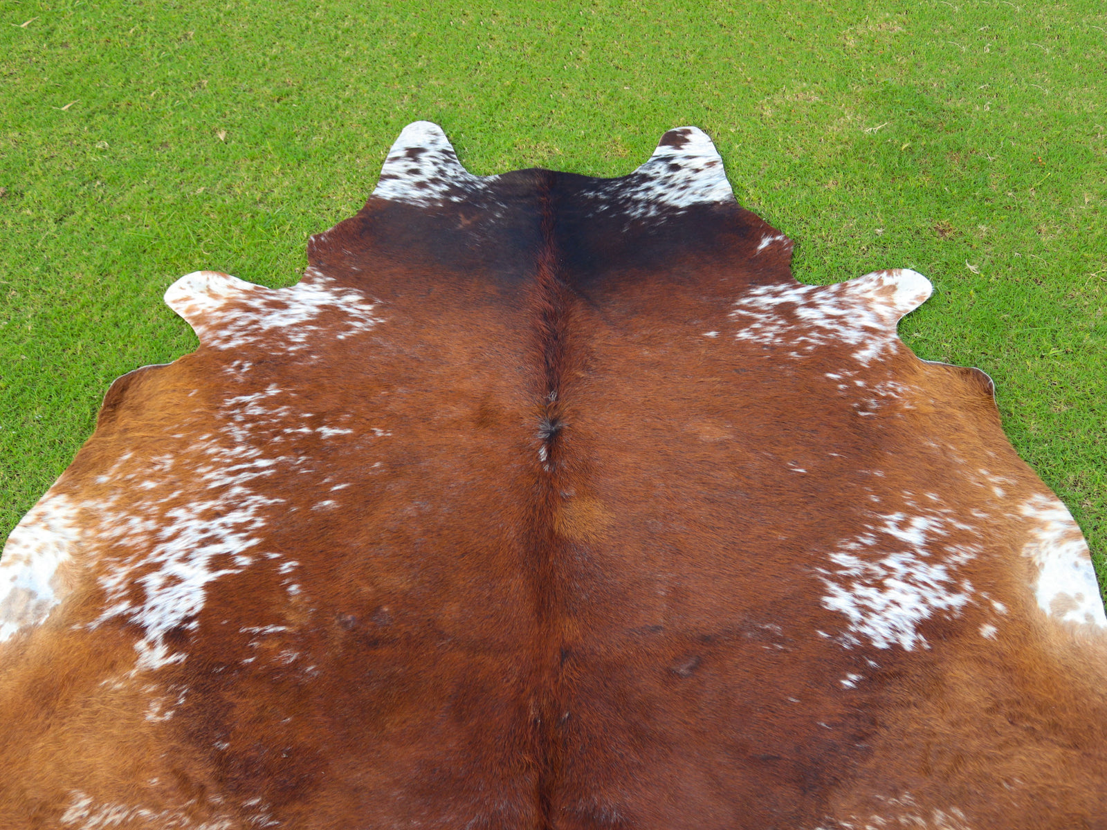Luxury Tricolor Cowhide Rug with Tan Brown Base