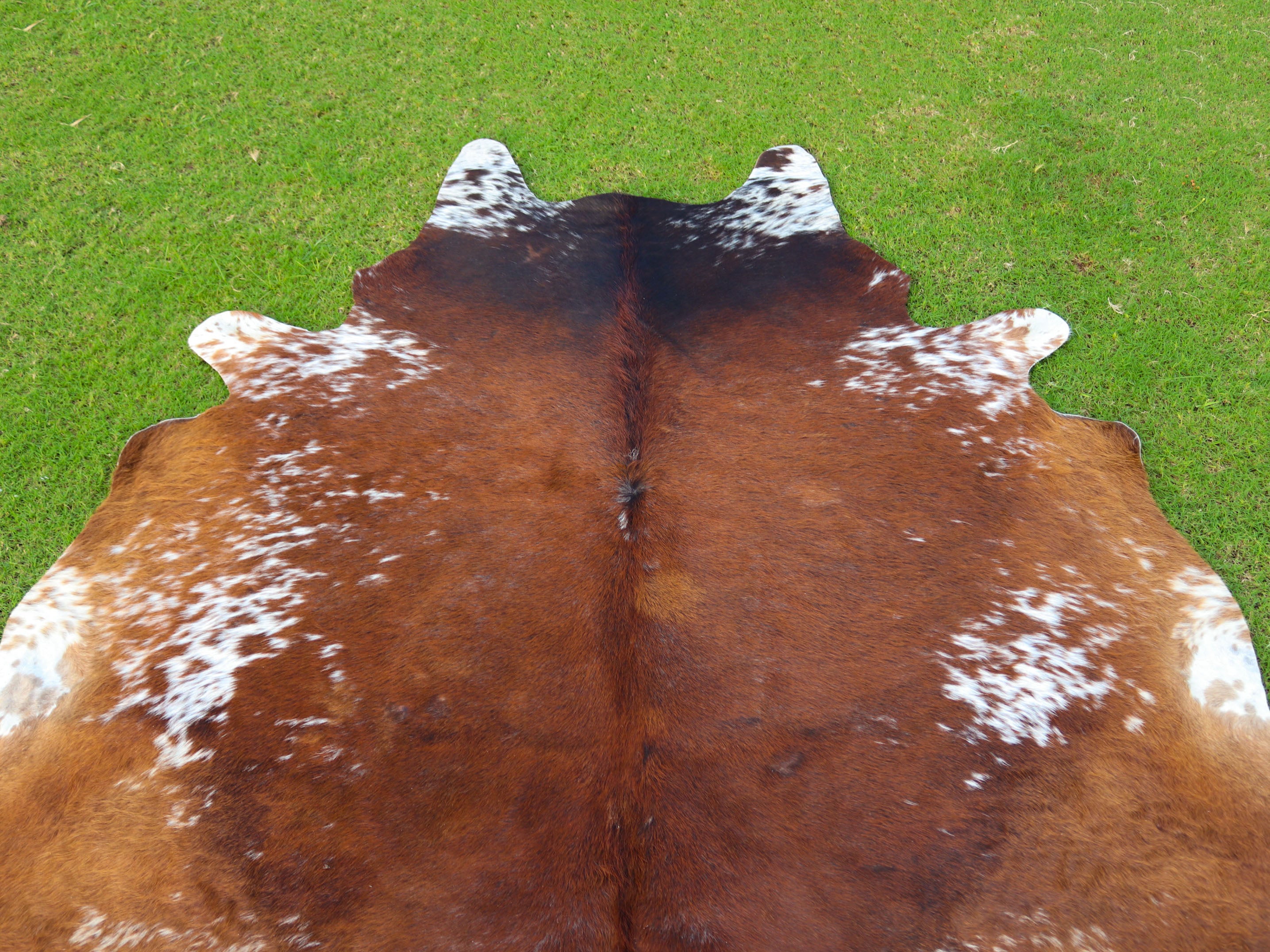 Luxury Tricolor Cowhide Rug with Tan Brown Base
