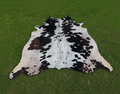 Premium Black and White Cowhide Rug with Tricolor Shade