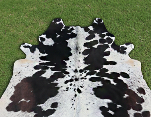 Premium Black and White Cowhide Rug with Tricolor Shade