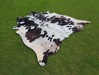 Premium Black and White Cowhide Rug with Tricolor Shade