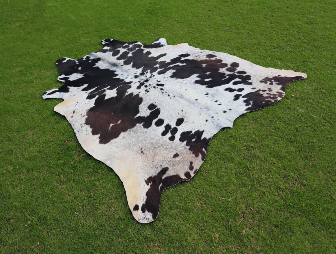 Premium Black and White Cowhide Rug with Tricolor Shade