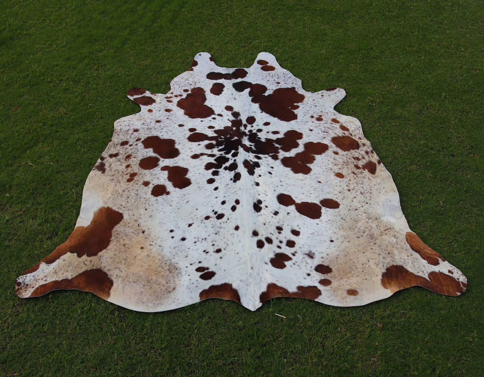 Brown and White Spotted Cowhide Rug