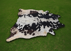 Premium Black and White Cowhide Rug with Tricolor Shade