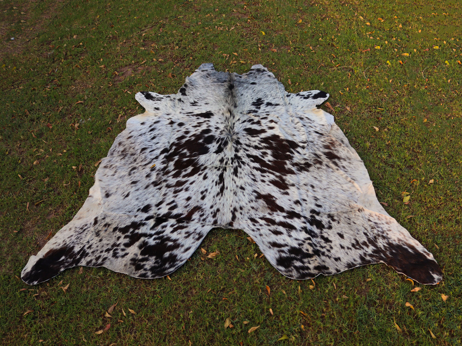 Chocolate Brown and White Cowhide Rug with Salt and Pepper Print