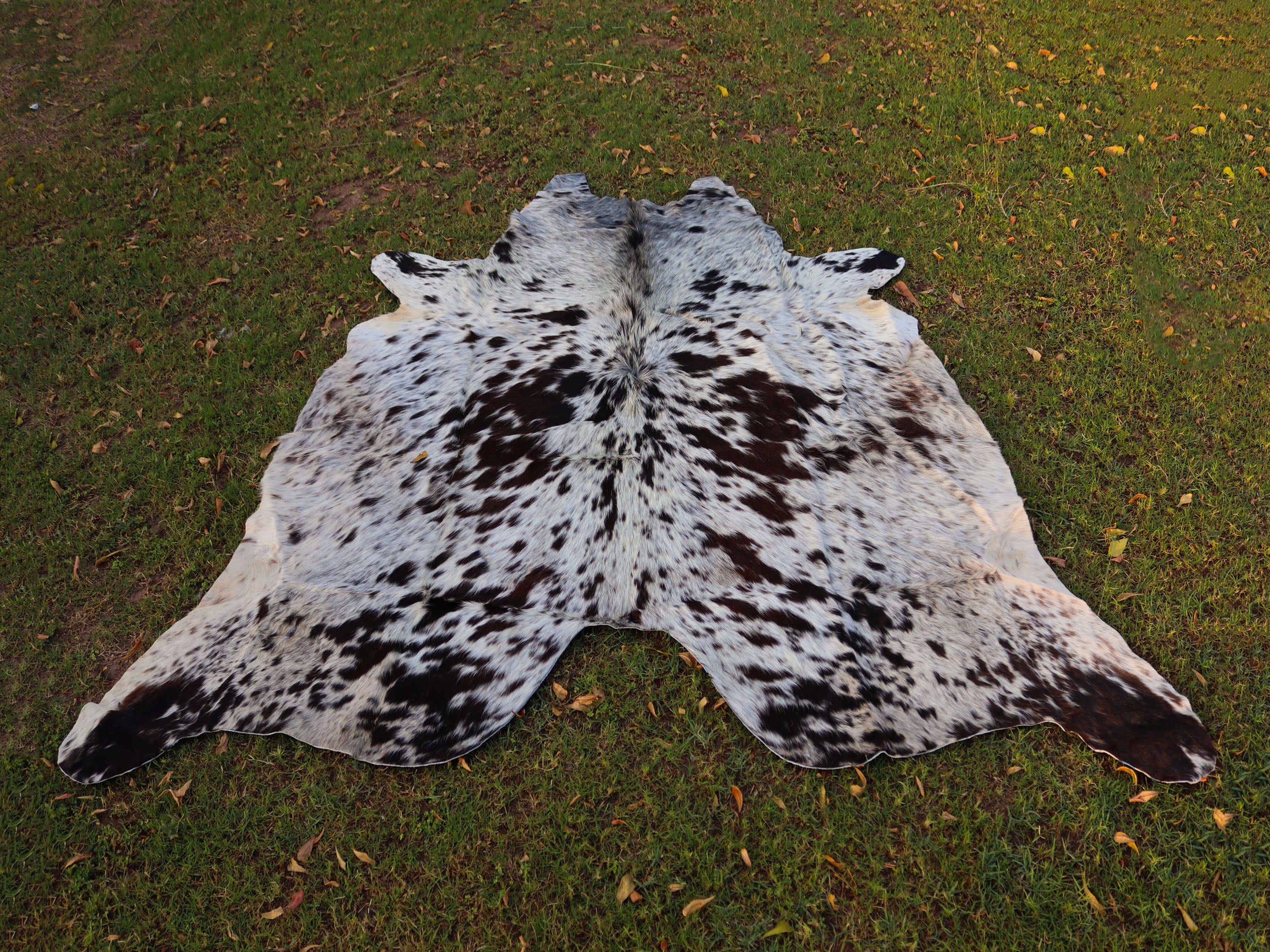 Chocolate Brown and White Cowhide Rug with Salt and Pepper Print