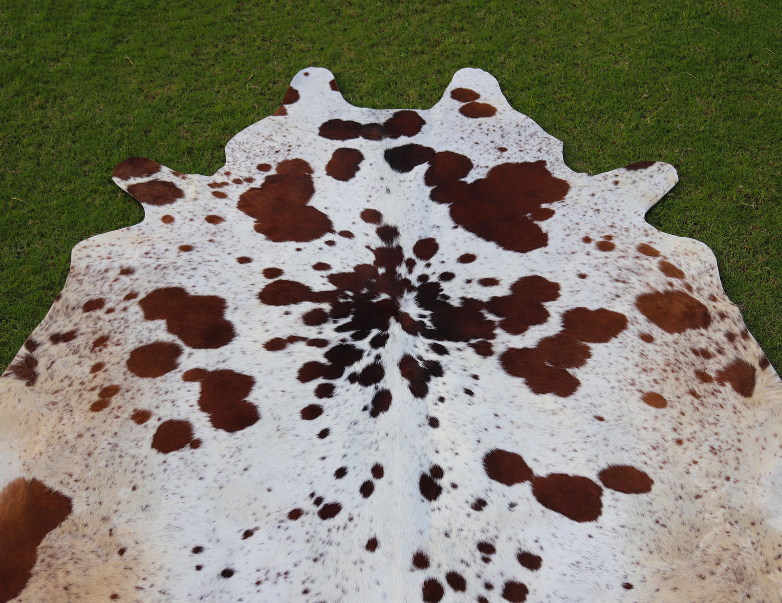 Brown and White Spotted Cowhide Rug