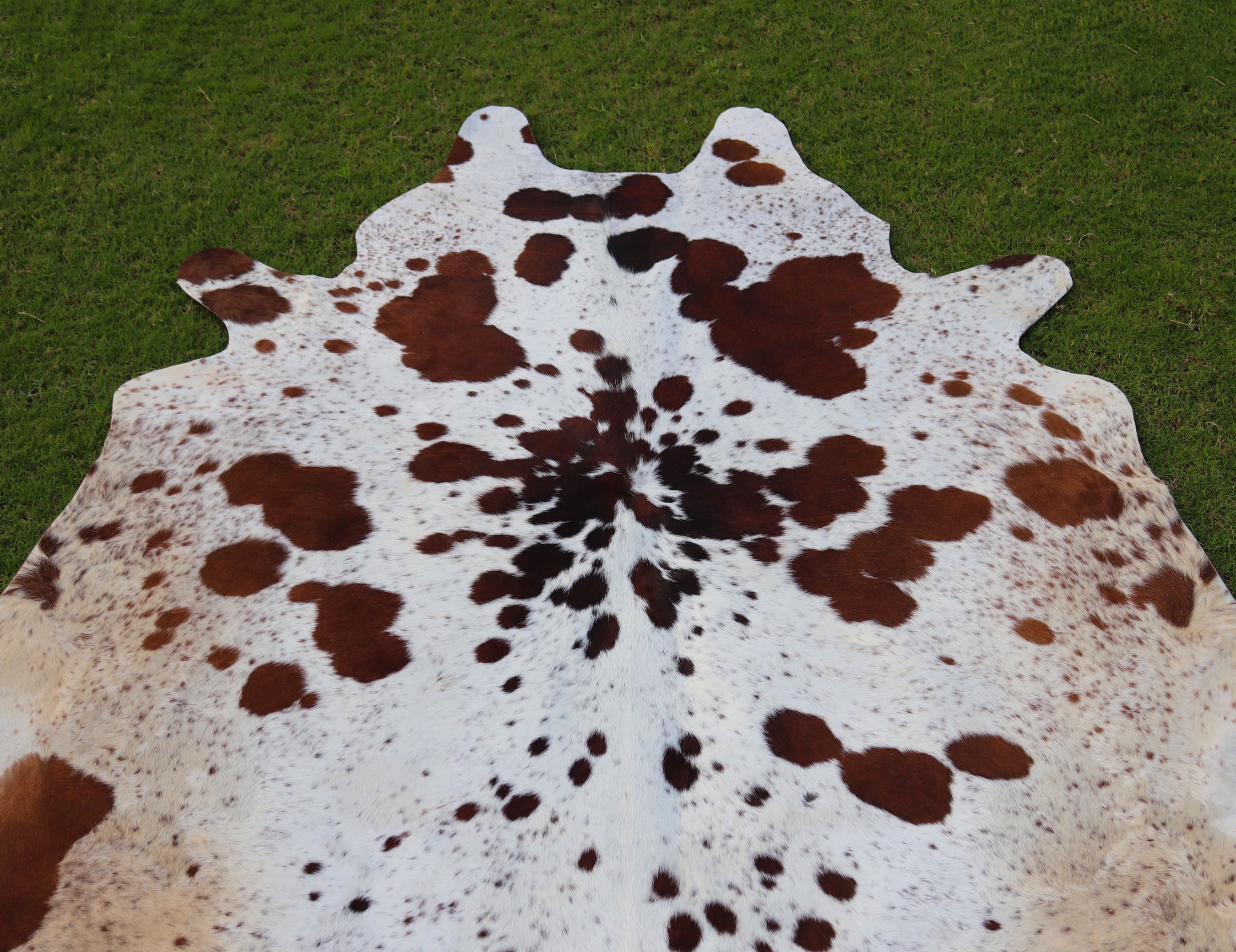 Brown and White Spotted Cowhide Rug