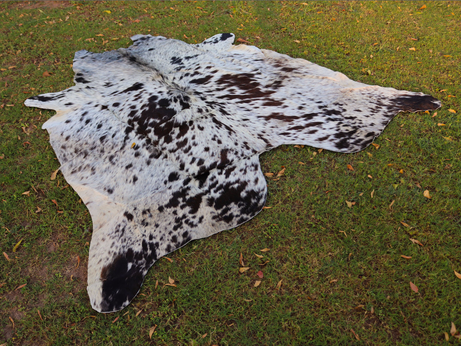 Chocolate Brown and White Cowhide Rug with Salt and Pepper Print