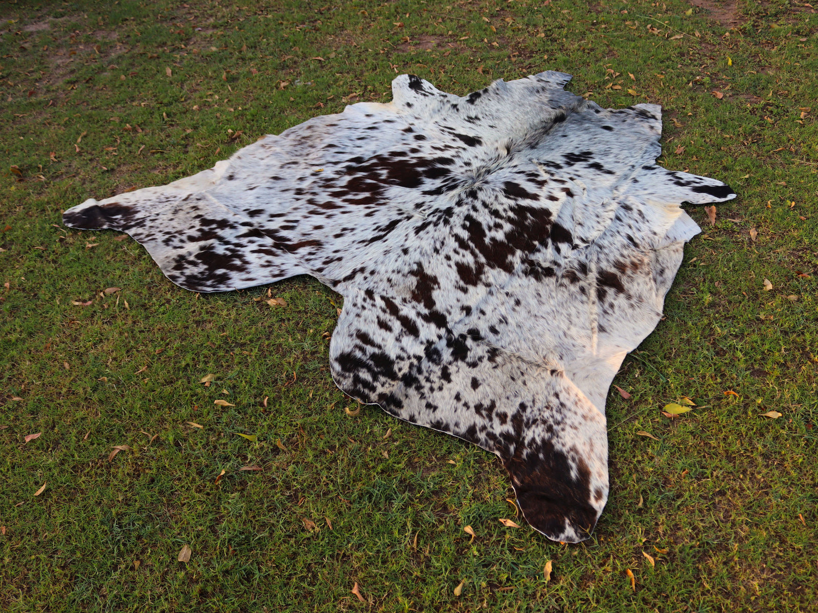 Chocolate Brown and White Cowhide Rug with Salt and Pepper Print