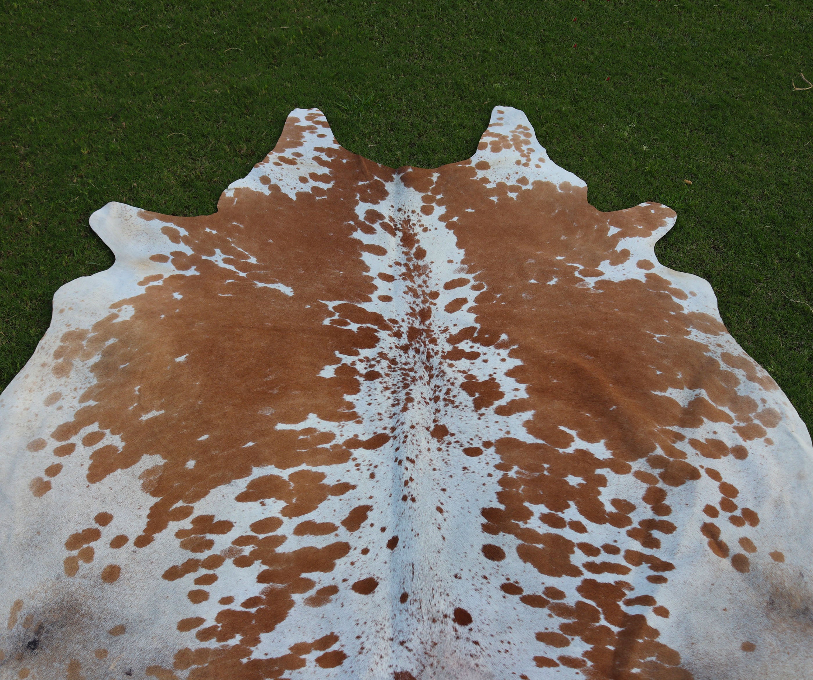 Beige and White Color Luxury Cowhide Rug