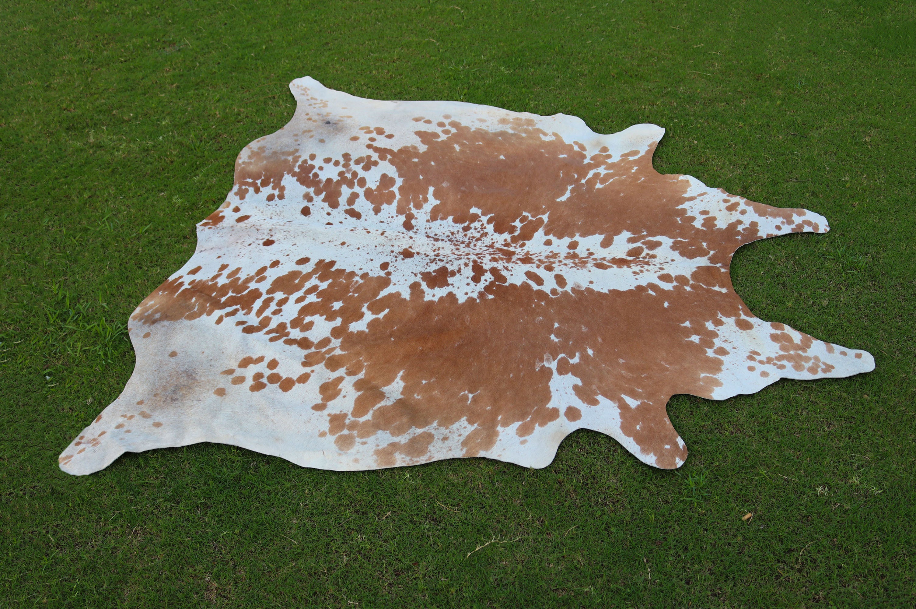 Beige and White Color Luxury Cowhide Rug
