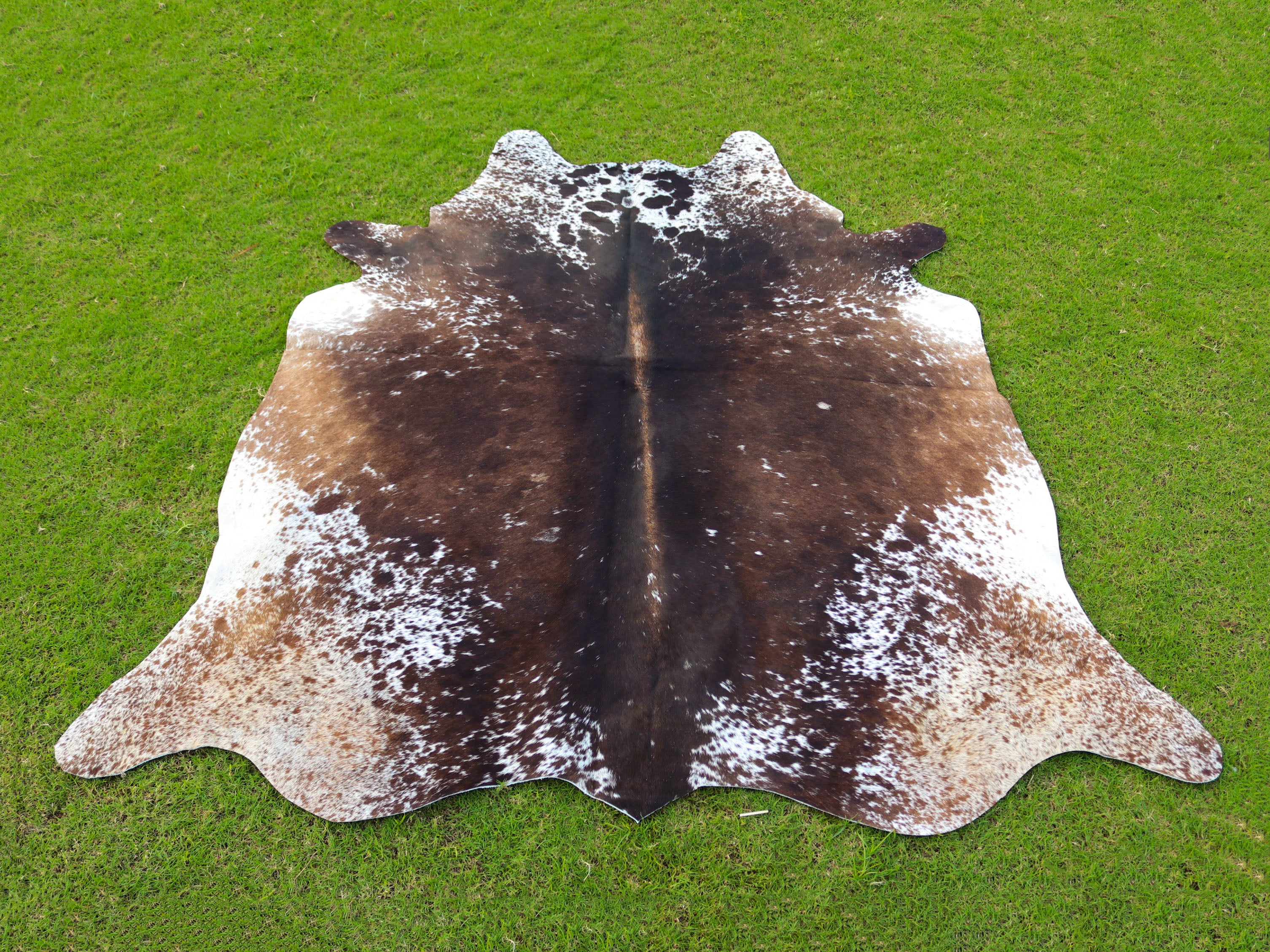 Tricolor Chocolate Brown Hair-On Cowhide Rug