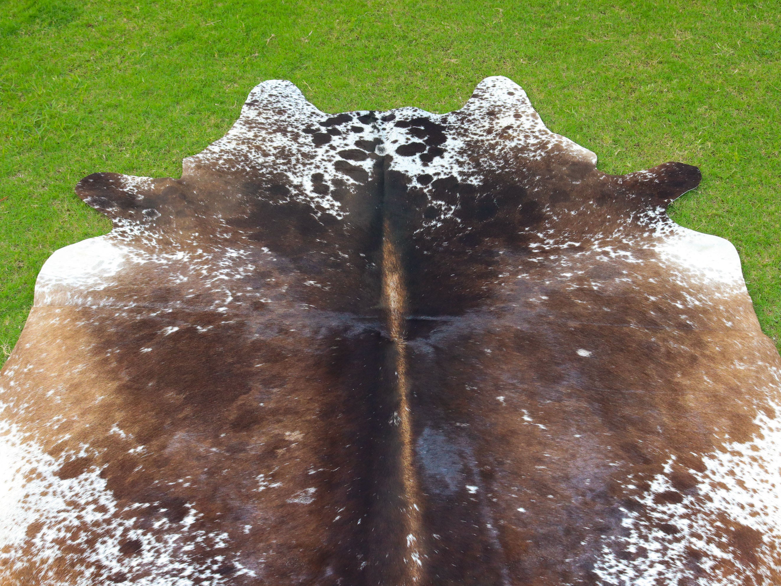 Tricolor Chocolate Brown Hair-On Cowhide Rug