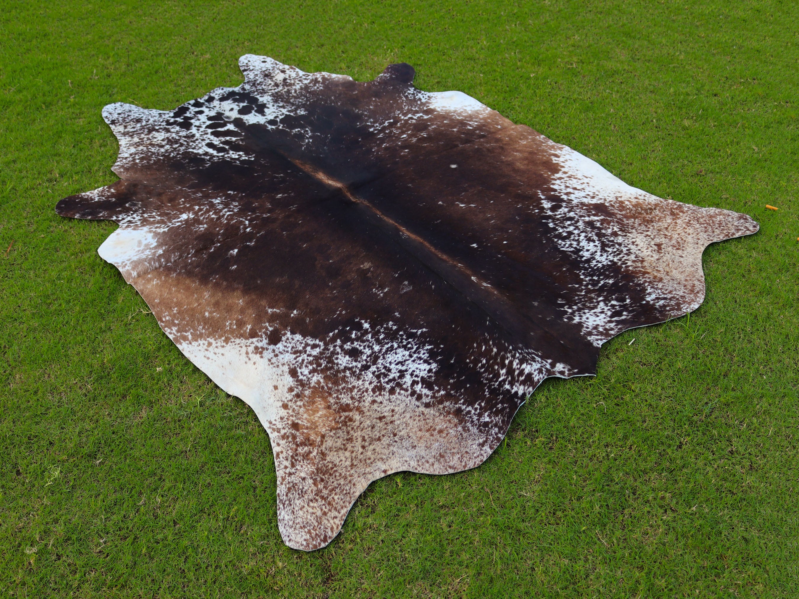 Tricolor Chocolate Brown Hair-On Cowhide Rug
