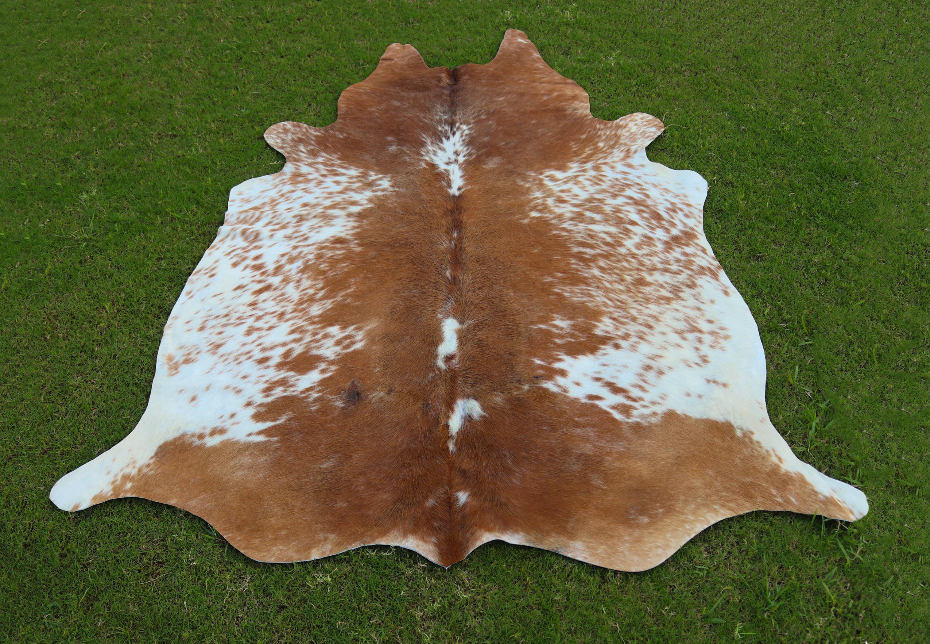 Brown and White Speckled Cowhide Rug