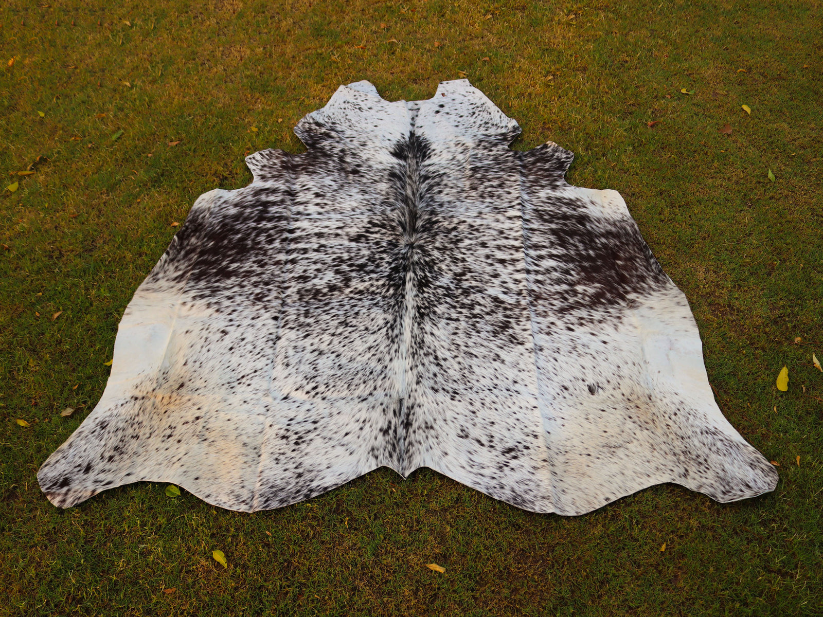 Salt and Pepper Print Cowhide Rug in Black and White