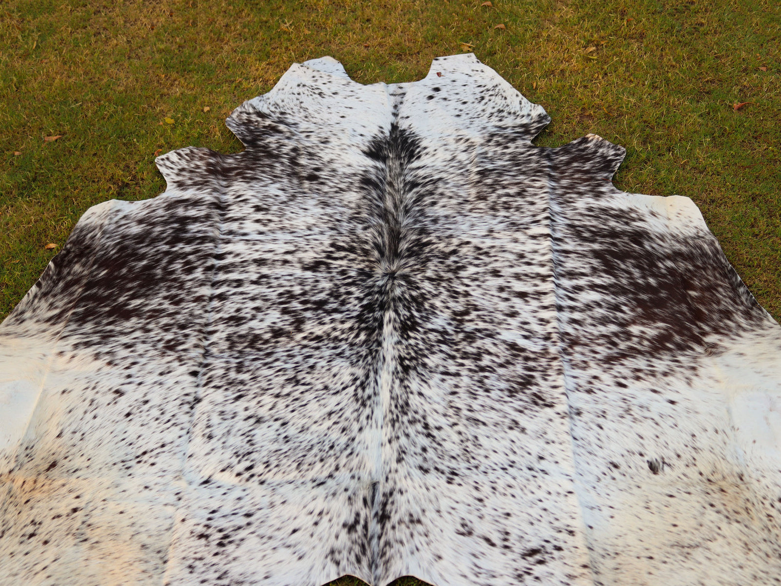 Salt and Pepper Print Cowhide Rug in Black and White