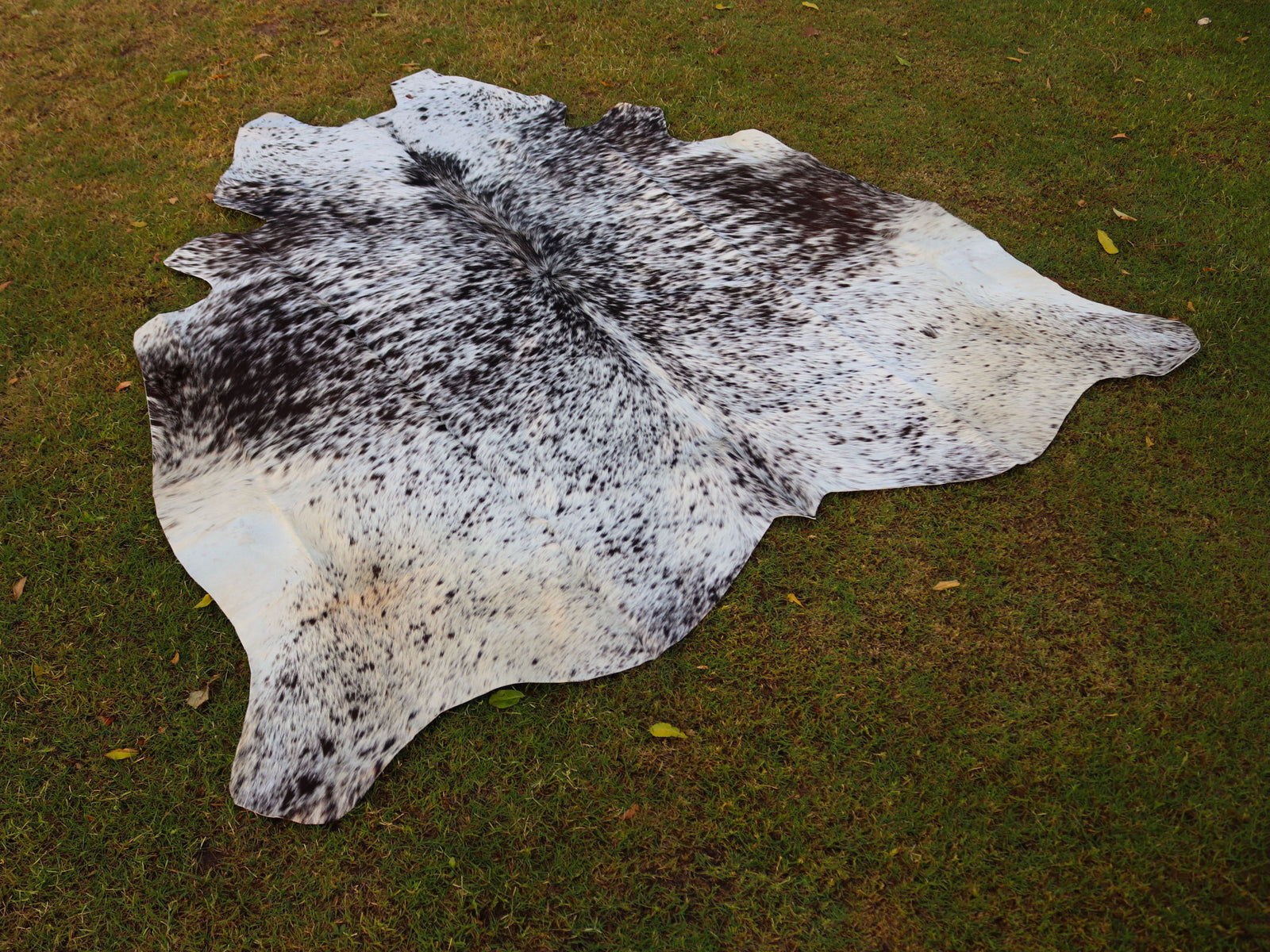 Salt and Pepper Print Cowhide Rug in Black and White