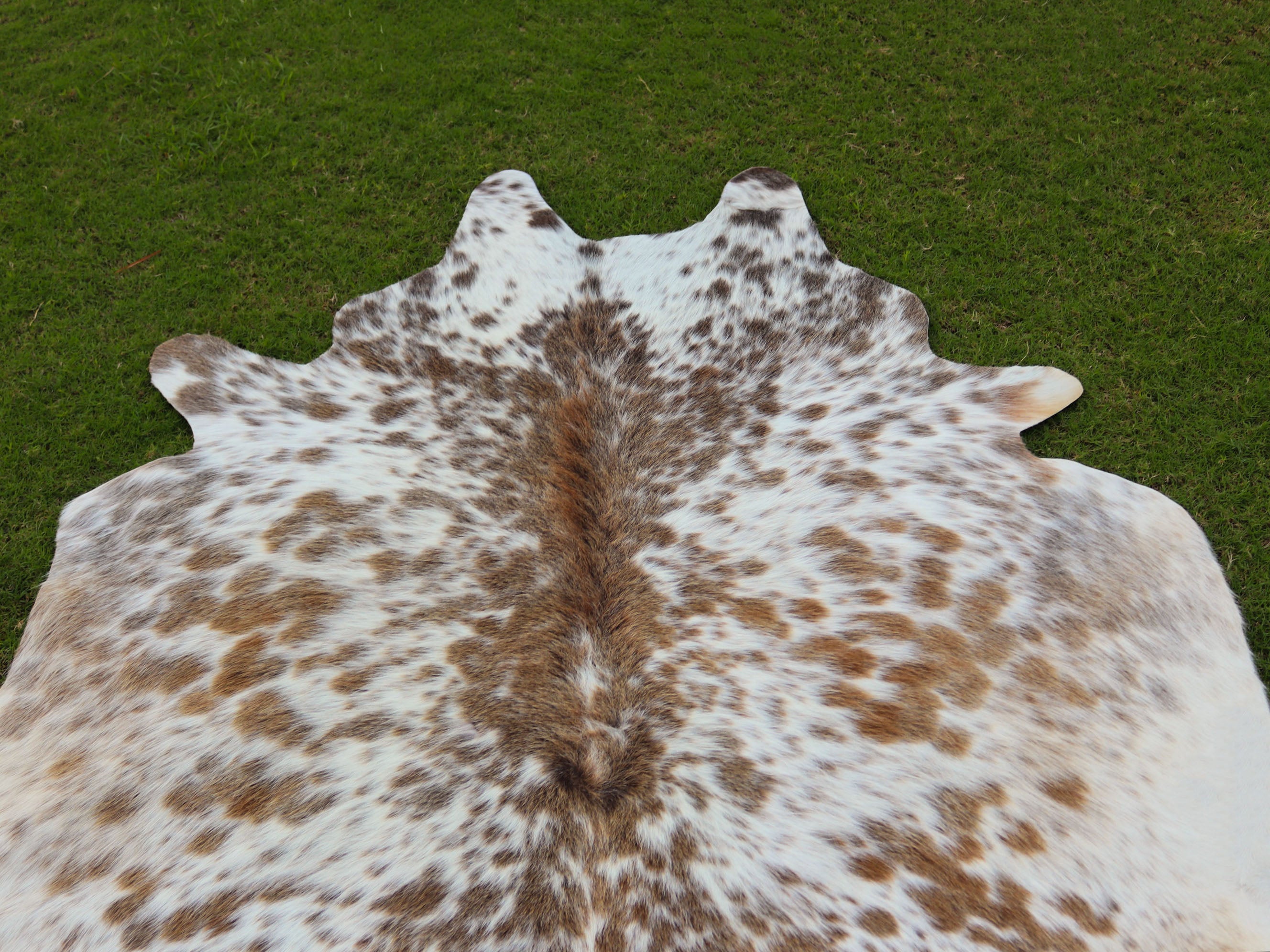 Beige and White Speckled Cowhide Rug