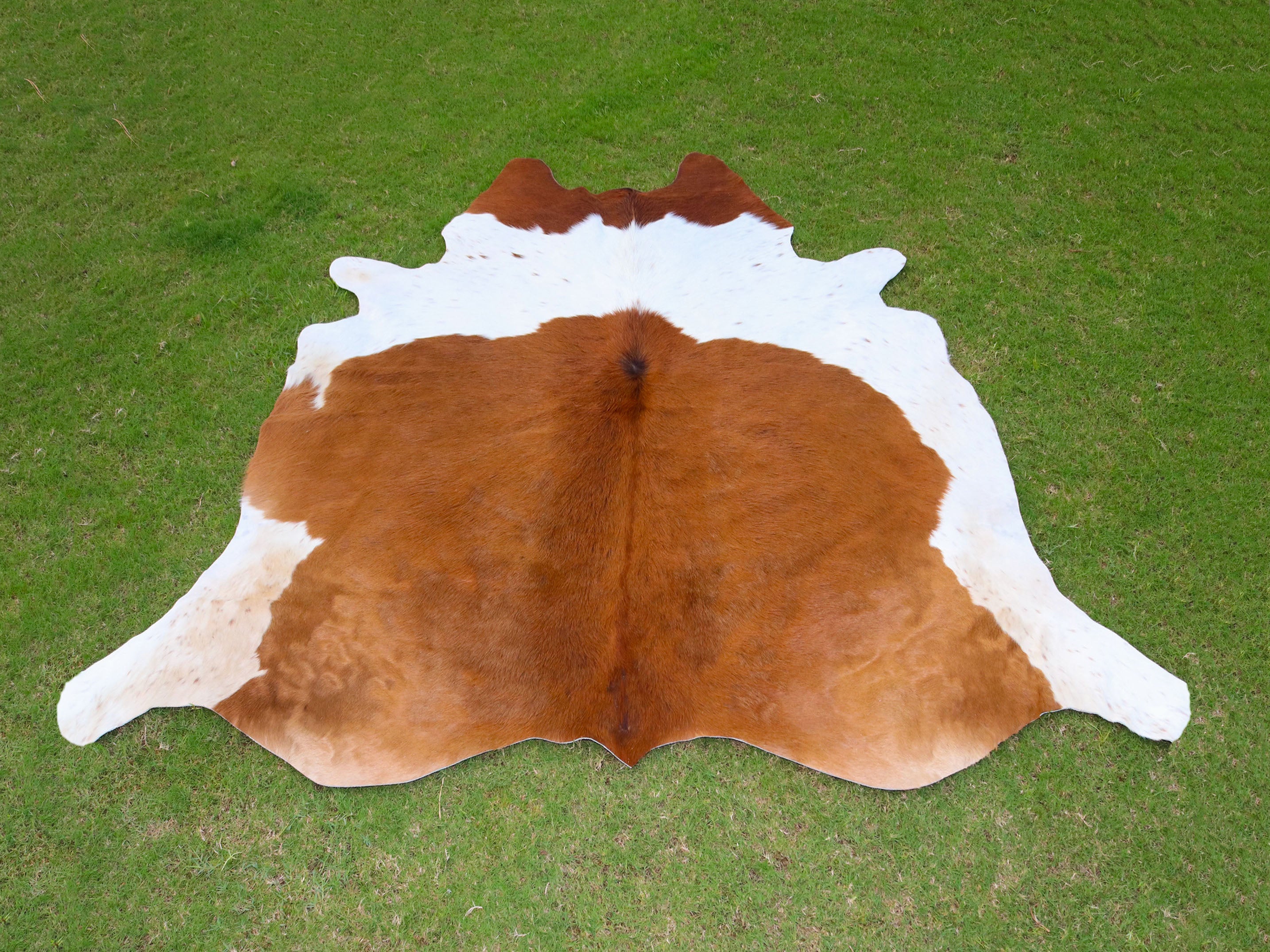 Brown and White Luxury Cowhide Rug in Panda Print Style