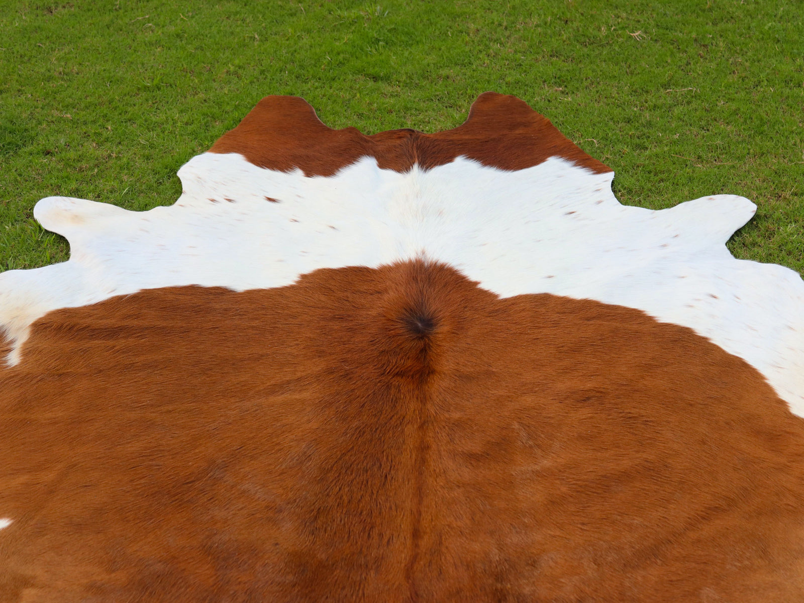 Brown and White Luxury Cowhide Rug in Panda Print Style