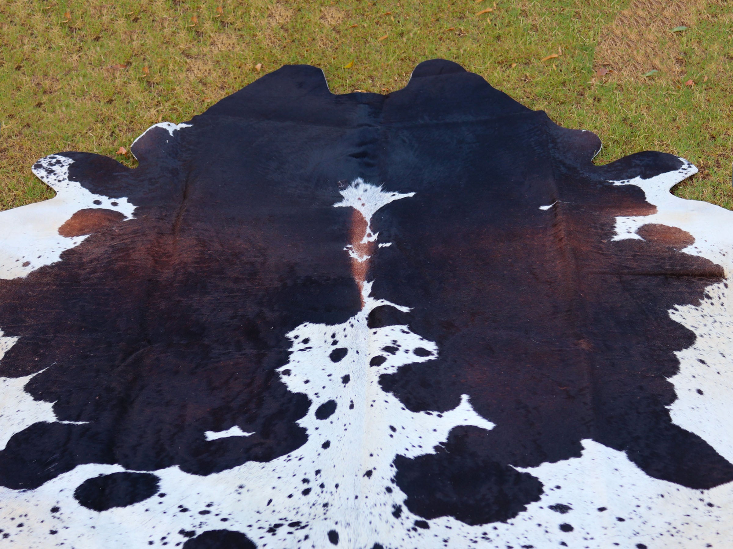 Tricolor Panda Print Cowhide Rug for Home Decor