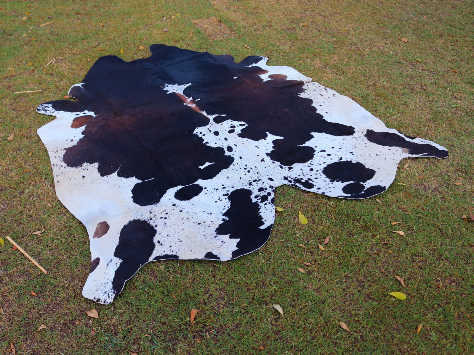 Tricolor Panda Print Cowhide Rug for Home Decor