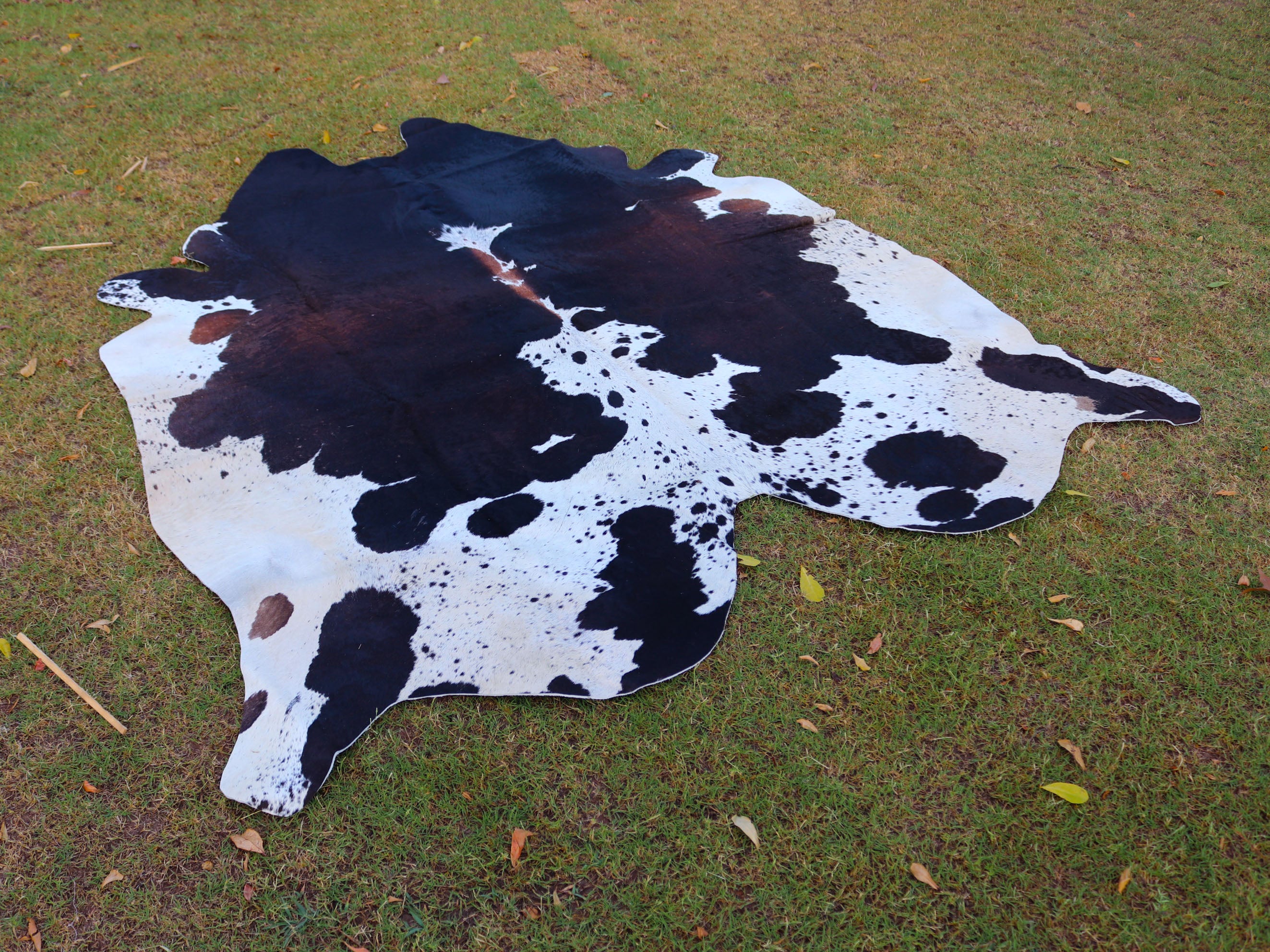 Tricolor Panda Print Cowhide Rug for Home Decor