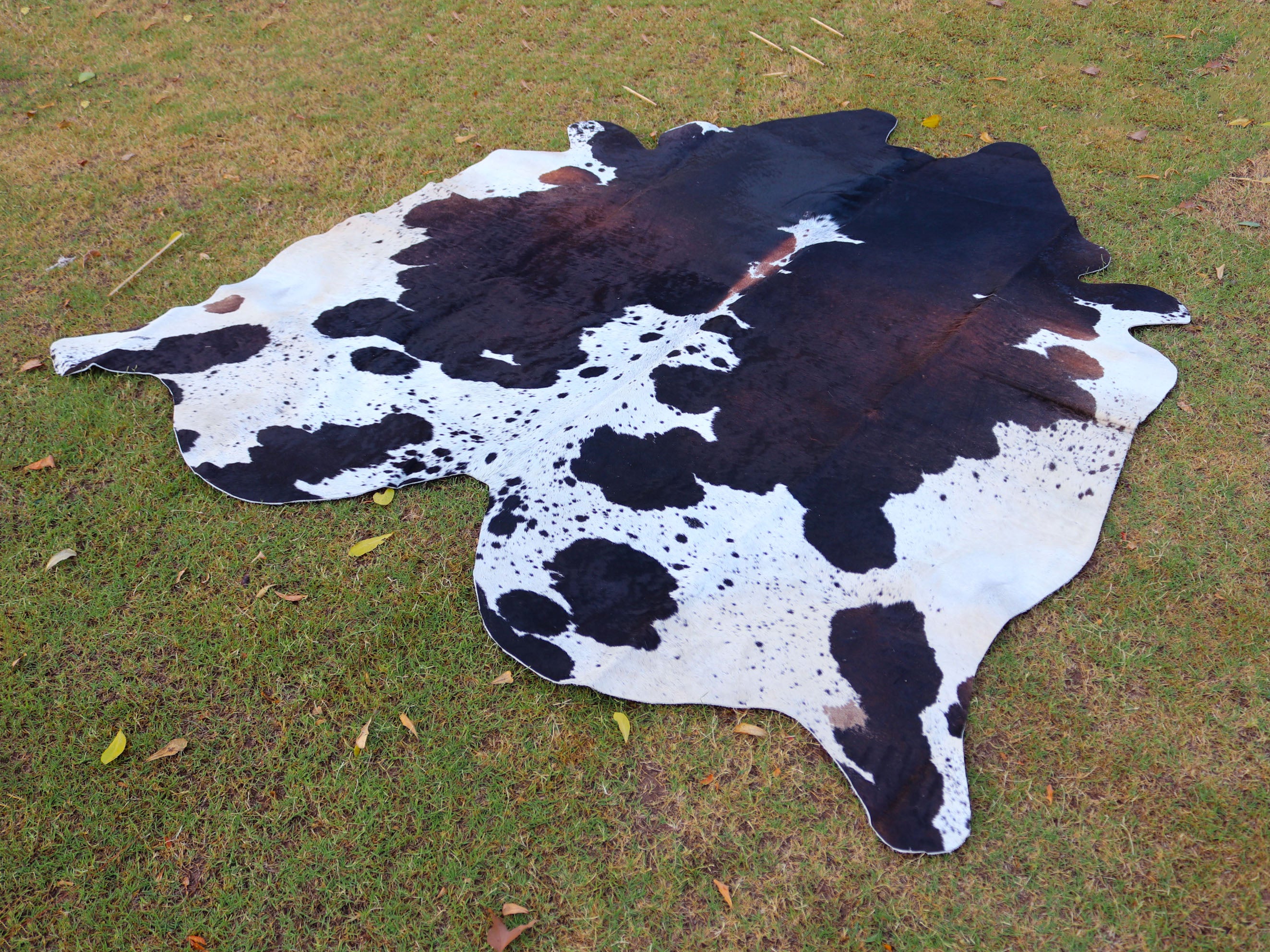 Tricolor Panda Print Cowhide Rug for Home Decor