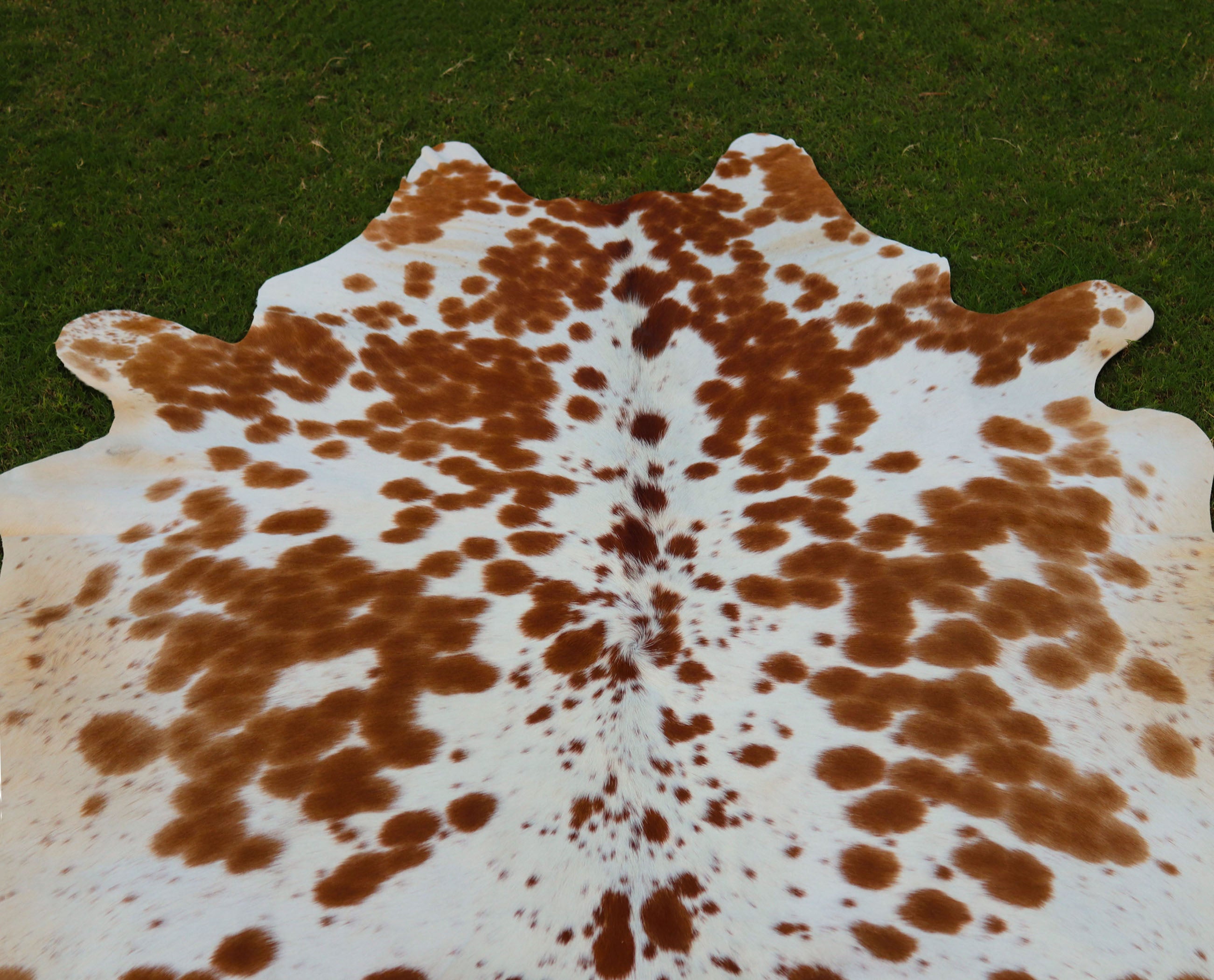 Brown and White Spotted Cowhide Rug for Home Decor