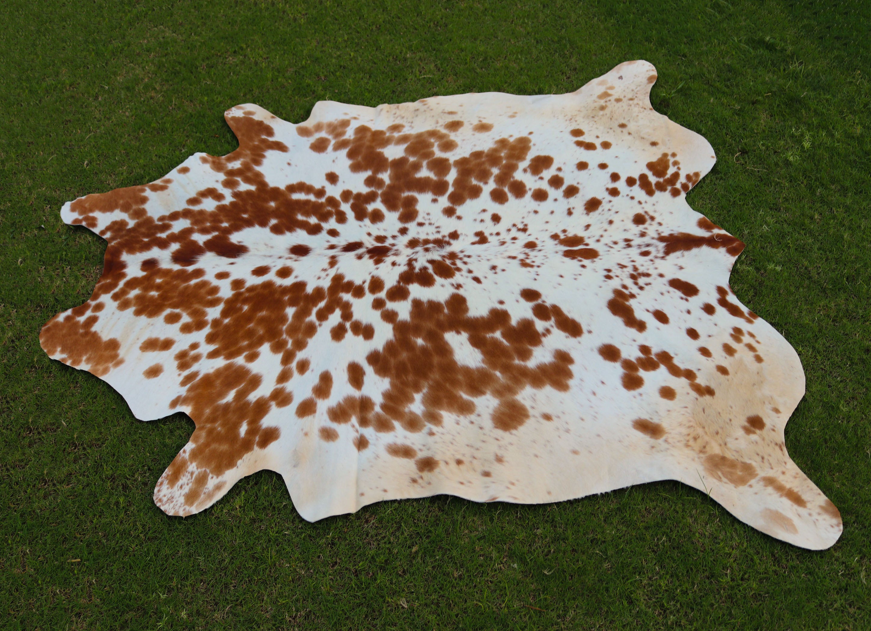 Brown and White Spotted Cowhide Rug for Home Decor