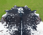 Black and White Speckled Cowhide Rug with Light Tricolor Shade