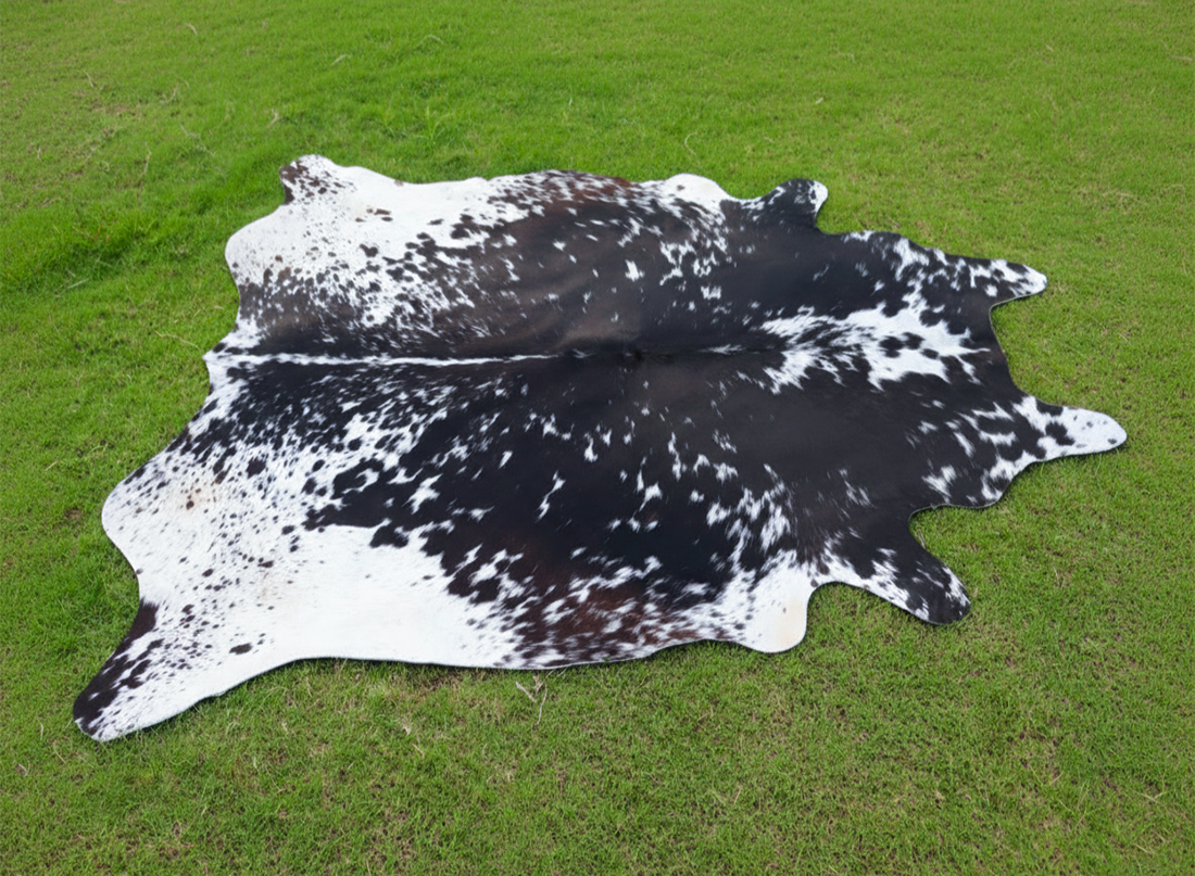 Black and White Speckled Cowhide Rug with Light Tricolor Shade