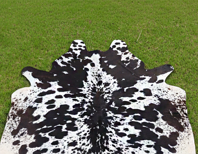 Black and White Spotted Cowhide Rug