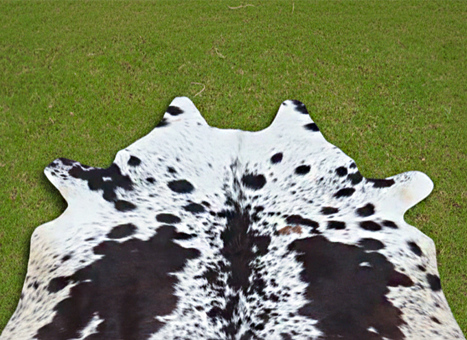 Black and White Speckled Hair-On Cowhide Rug