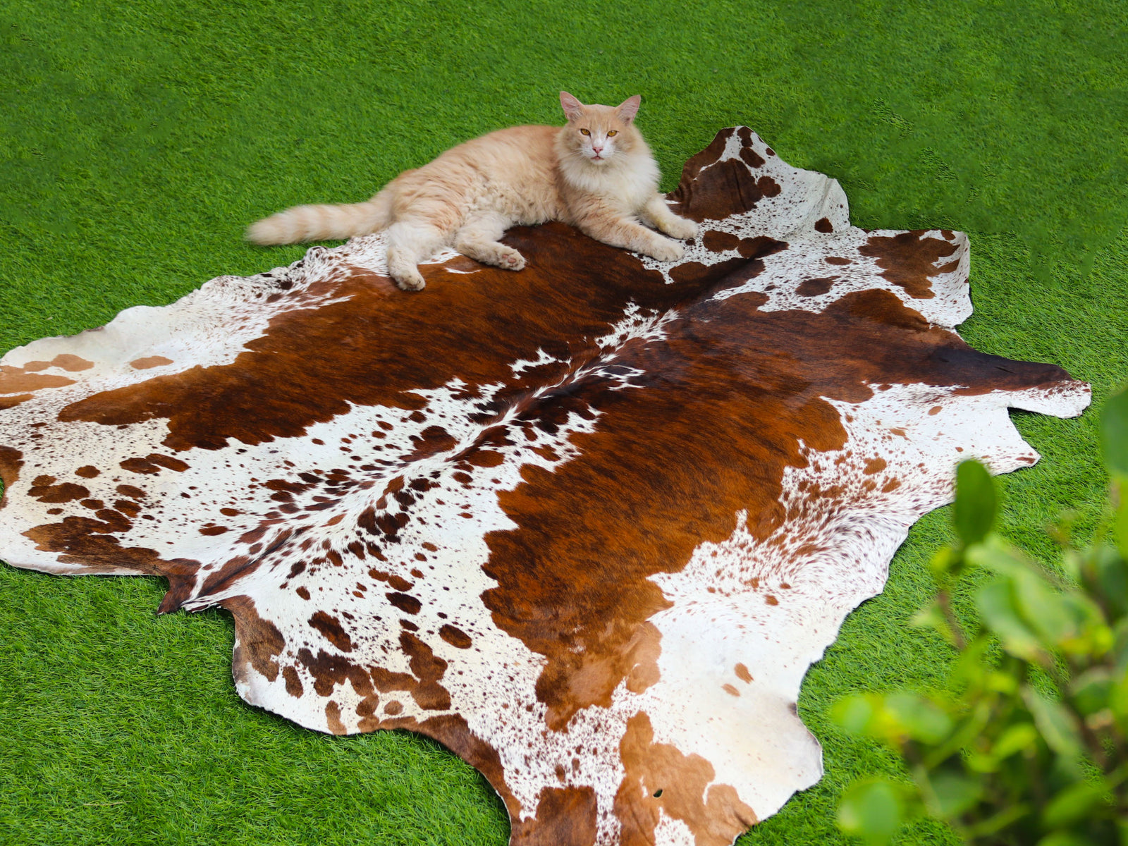 Tricolor Brown and White Brindle Cowhide Rug